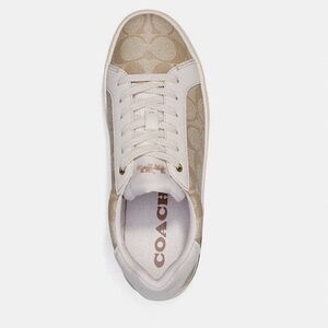 Coach Signature Canvas Sneakers Khaki Chalk Womens Size 7, Style C3123